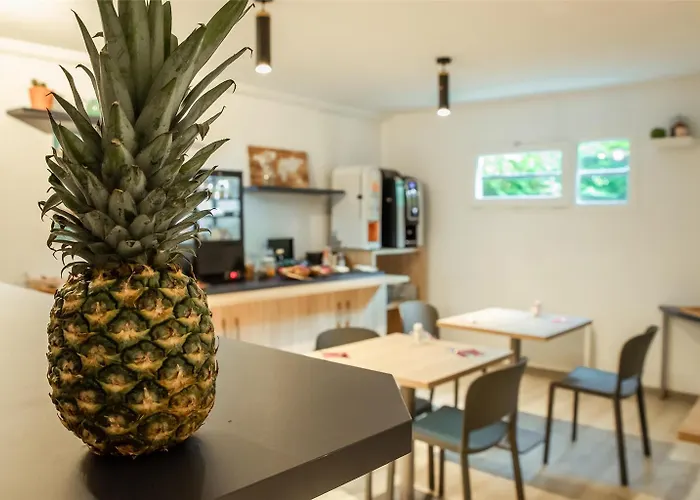 Terres De France 호텔